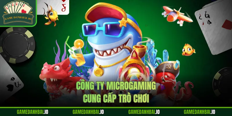 Công ty Microgaming cung cấp trò chơi